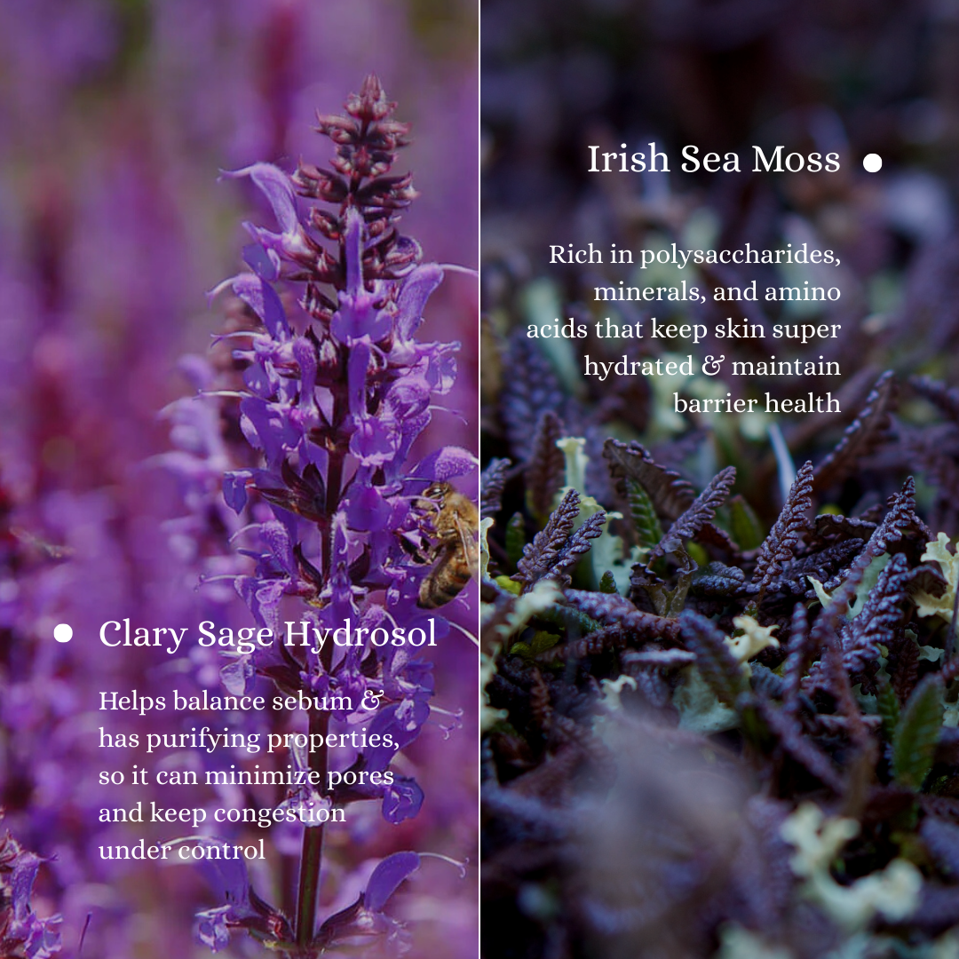 HydraC Face Mist | 100ml