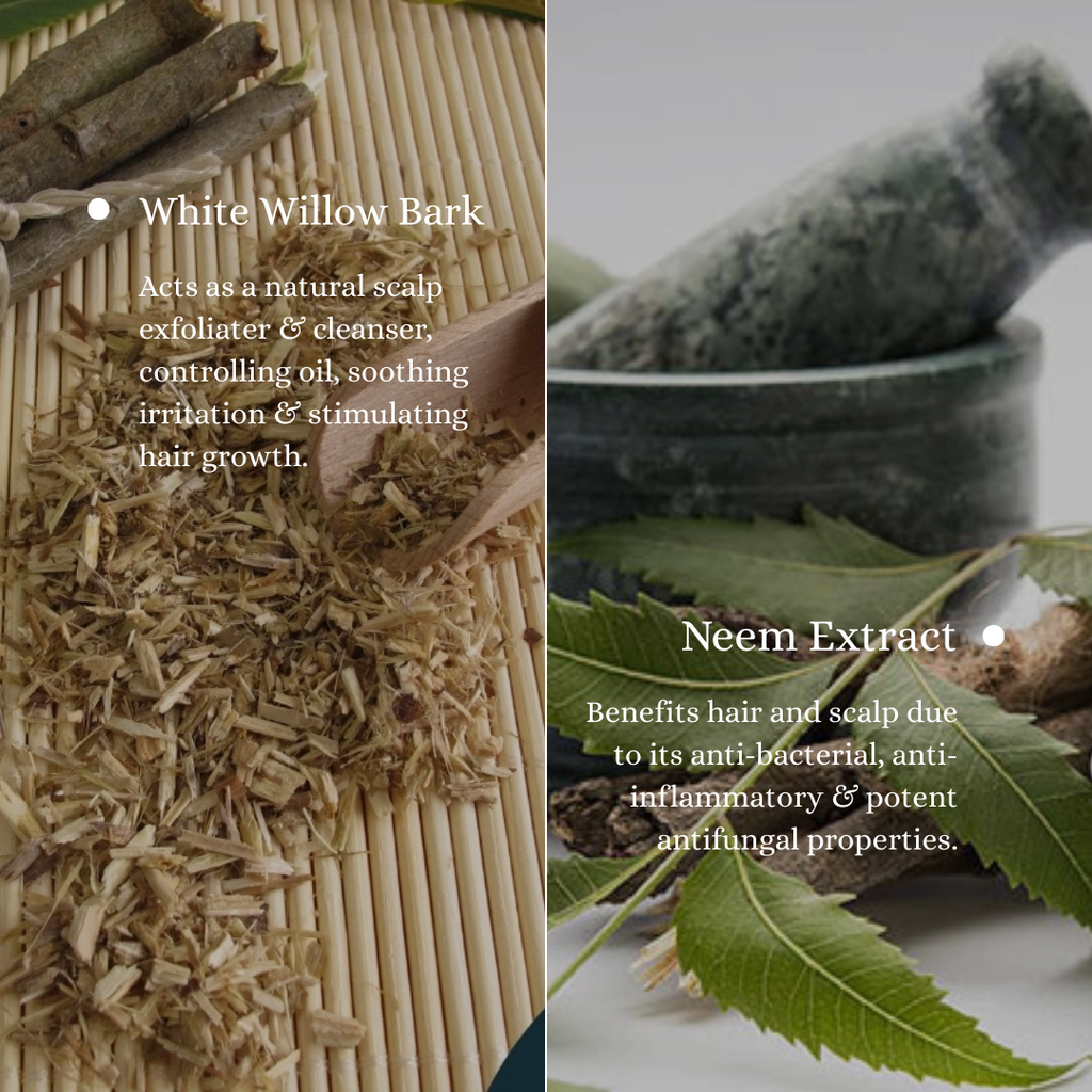 Fresh Start Exfoliating and Clarifying Shampoo | 200ml