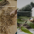 Fresh Start Exfoliating and Clarifying Shampoo | 200ml