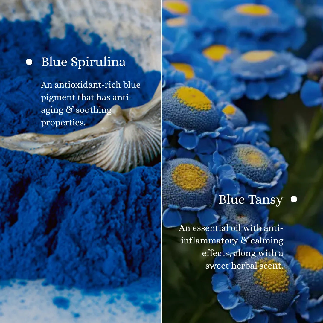 Blue tansy Best skincare products for beginners