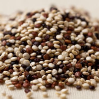 Hydrolyzed Quinoa Protein